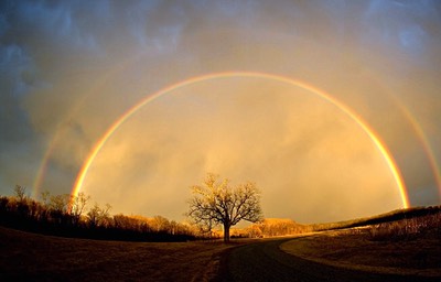 Regenbogen